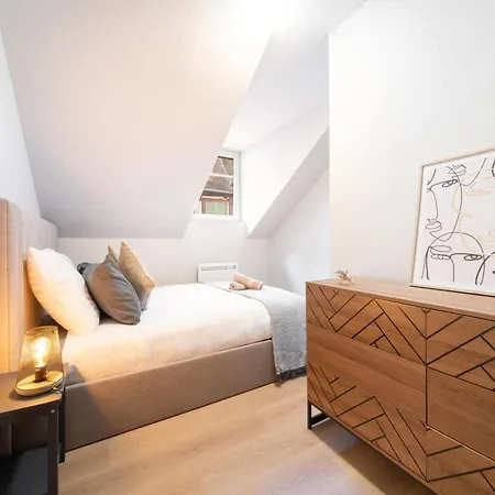 Le Grand Lion Centre Parking Gratuit Apartman Colmar