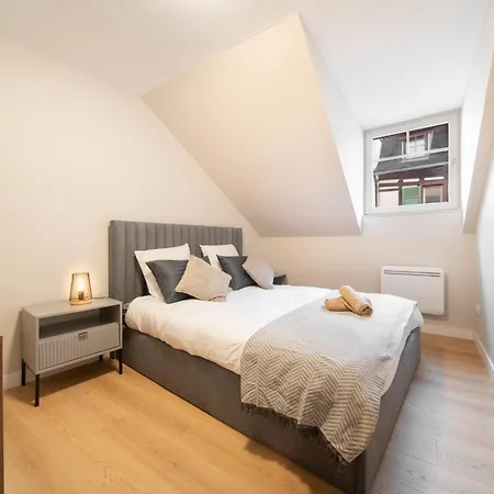 Le Grand Lion Centre Parking Gratuit * Colmar