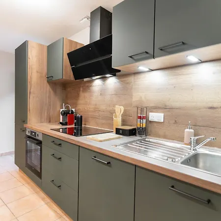 Appartement Le Grand Lion Centre Parking Gratuit Colmar