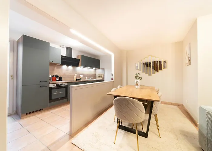 Le Grand Lion Centre Parking Gratuit Apartment *