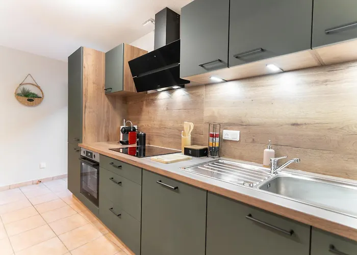 Apartment Le Grand Lion Centre Parking Gratuit Colmar