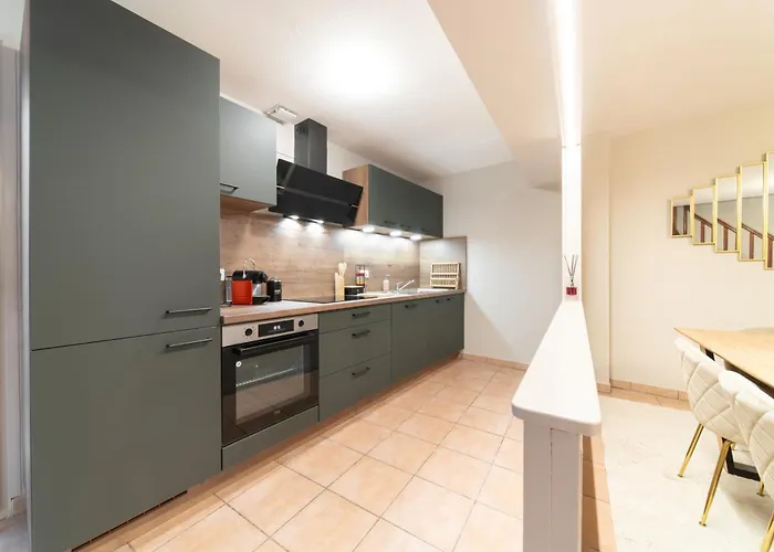 Le Grand Lion Centre Parking Gratuit * Colmar