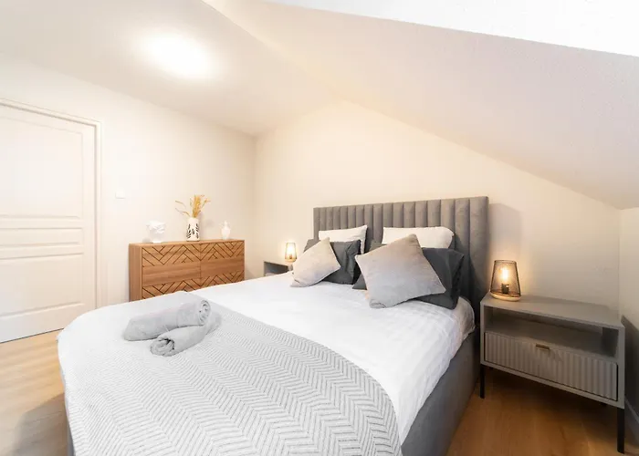 Le Grand Lion Centre Parking Gratuit